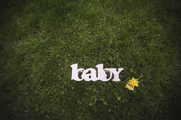 baby wood word on grass background