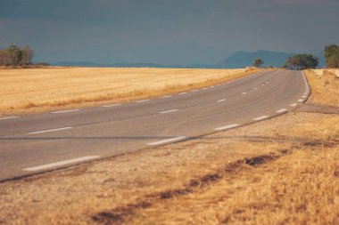 Bulutlu bir gökyüzünün altında altın tarlalarda dolambaçlı bir yol keşfini ve macerasını davet ediyor.