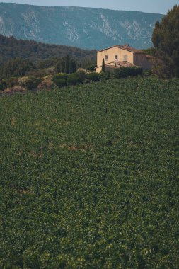 Yamaçtan, yemyeşil ve görkemli dağlarla çevrili, açık mavi bir gökyüzünün altında yemyeşil üzüm bağlarına bakan tuhaf bir kır evi.