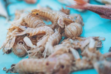 Sabahın erken saatlerinde deniz kenarı kasabasındaki hareketli bir pazarda canlı bir mavi yüzeyde sergilenen okyanustan taze avlar.