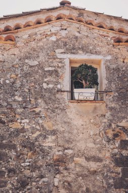 Hoş bir gün ortasında, eski bir köyün kırsal taştan duvarında yeşillikle bezenmiş büyüleyici bir pencere keşfettim.
