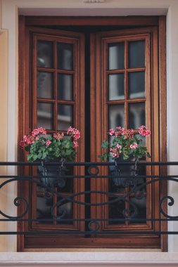 Güneşli bir öğleden sonra tuhaf bir mahallede çiçek açan sardunyalarla süslenmiş büyüleyici bir balkon.