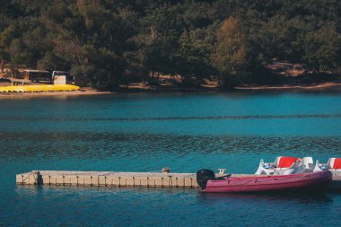 Colorful pedal boats lined up by the serene water in a sunny lakeside park offering fun and relaxation to visitors
