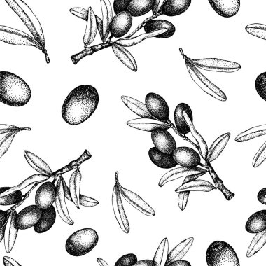 Beyaz arka plan üzerinde izole siyah ve yeşil zeytin dalı dikişsiz desen. Zeytinyağı, doğal kozmetik, sağlık ürünleri için tasarım