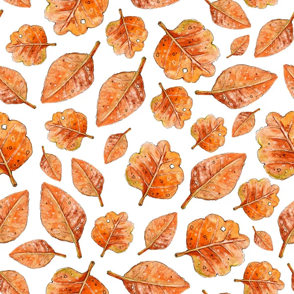 Autumn seamless pattern. Ilustrasi cat air buatan tangan. Daun tangan digambar sketsa. Pola musim gugur warna gaya sketsa. Desain untuk latar belakang, kertas dinding, kemasan, pembungkus, kain, kartu ucapan — Stok Foto