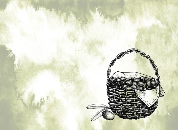 オリーブと収穫バスケット。手描きグラフィック。オリーブオイル、天然化粧品、ヘルスケア製品のデザイン. — ストック写真