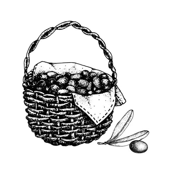 Panier avec olives, fruits et feuilles. Illustration vectorielle croisée dessinée à la main. Concept de conception pour les produits cosmétiques, fond, bannière, étiquette, modèle . — Image vectorielle