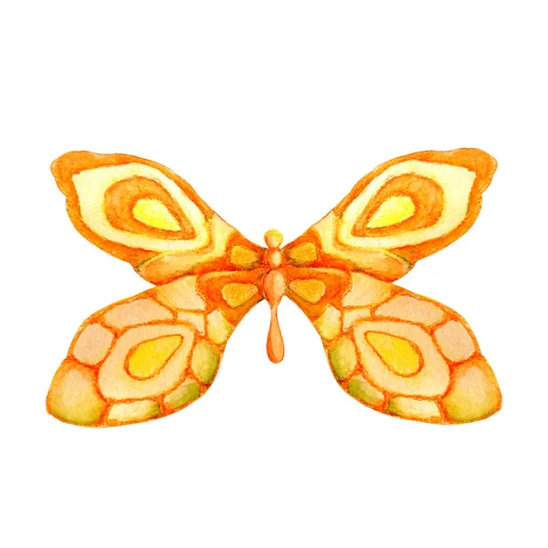 夏の虫蝶 白を基調とした手水彩イラスト カバー ポストカード お祝い 招待状のデザインのための夏 飛行の概念 — ストック写真
