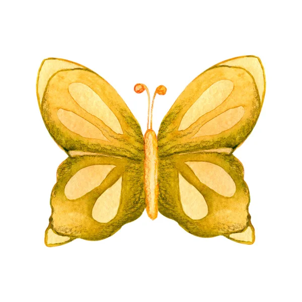 Letnie Owady Motylku Ręczna Ilustracja Akwarela Izolowana Białym Tle Koncepcja — Zdjęcie stockowe