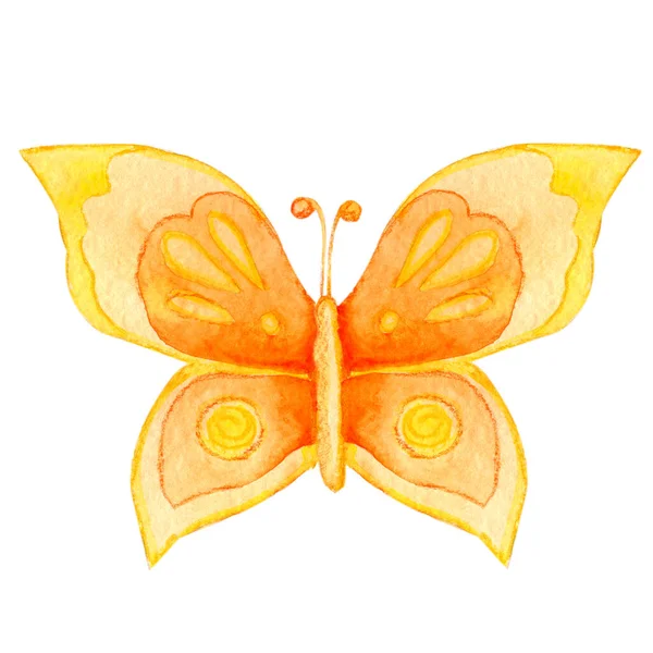 Літні Комахи Метелик Ручна Акварельна Ілюстрація Ізольована Білому Тлі Концепція — стокове фото