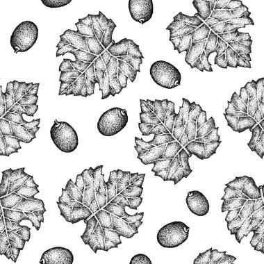 Üzüm yaprakları, böğürtlenler, dallar, fırçalar. Beyaz arka planda elle çizilmiş grafikler. Paketleme, ambalaj, menü, şablon, etiket tasarımı.