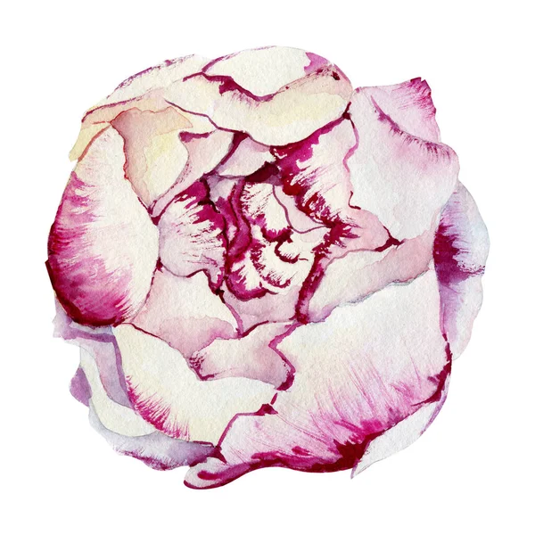 Ροδακινί λουλούδι, ροζ μπουμπούκι. Χέρι ακουαρέλα εικόνα απομονώνονται σε λευκό φόντο. Σχεδιασμός για γαμήλιο έντυπο υλικό, πρόσκληση, συγχαρητήρια, κλιπ, καρτ ποστάλ, γενέθλια — Φωτογραφία Αρχείου