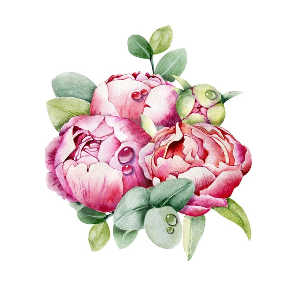 Şakayık Çiçeği Pembe Tomurcuk Boyası Çizimi Beyaz Arkaplanda Izole Edilmiş — Stok fotoğraf