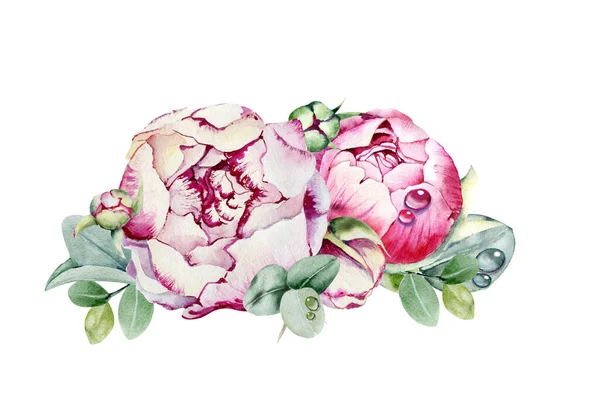 Ροδακινί Λουλούδι Ροζ Μπουμπούκι Χέρι Ακουαρέλα Εικόνα Απομονώνονται Λευκό Φόντο — Φωτογραφία Αρχείου