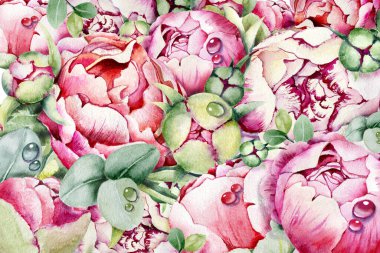 Şakayık çiçekleri, okaliptüs yaprakları ve hediye kurdelesi içeren tebrik kartı şablonu. El boyası çizimi beyaz arkaplanda izole edilmiş. Düğün tasarımı, selamlar, Sevgililer Günü