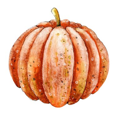 Olgun turuncu balkabağı, beyaz arka planda izole edilmiş. El çizimi suluboya çizimi. Altın sonbahar temalı ürün tasarımı ve Cadılar Bayramı, yemek ve menü
