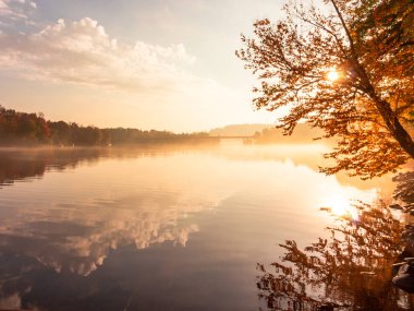 Beautiful Sunrise Autumn Scene, Lake Vernon in Huntsville, Algonquin Provincial Park Ontario clipart