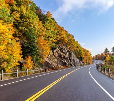 Algonquin Provincial Park Ontario uzun açık boş dolambaçlı yol ağaçları