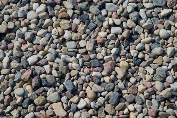 Petites pierres de mer, fond de gravier. Fond naturel de galets de mer gris — Photo