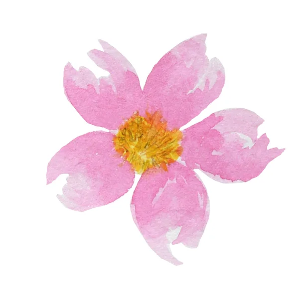 Beautiful bright pink watercolor flower. Isolated on white background. — Stock Photo, Image