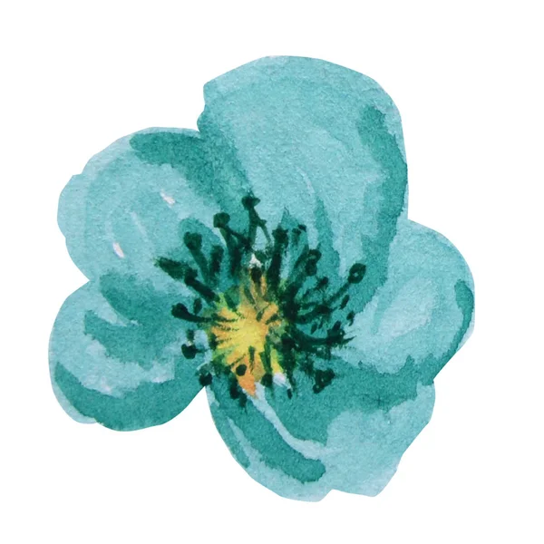 Belle fleur d'aquarelle turquoise lumineuse. Isolé sur fond blanc . — Photo