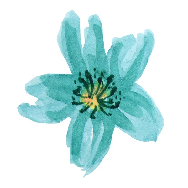 Belle fleur d'aquarelle turquoise lumineuse. Isolé sur fond blanc . — Photo