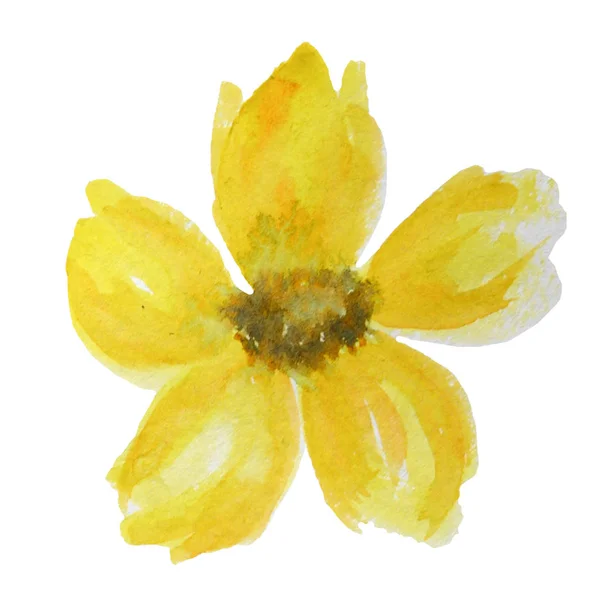 Hermosa flor de acuarela amarilla brillante. Aislado sobre fondo blanco . —  Fotos de Stock
