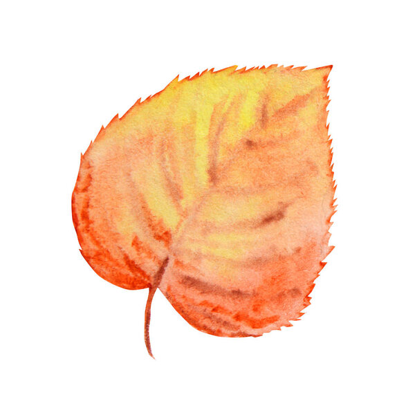 Autumn leaf isolated on a white background. Watercolor autumn leaf hand drawn illustration.