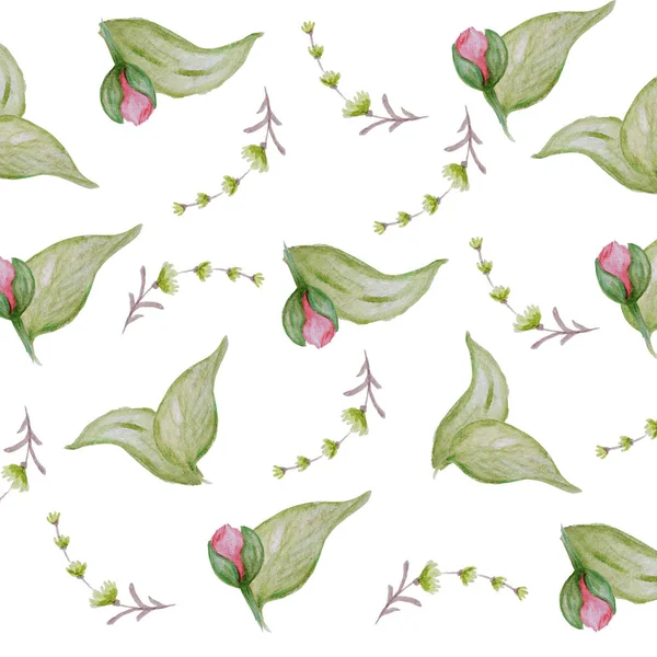 Aquarell Pfingstrose Blumenmuster, rosa Pfingstrosen Textur, romantisches Sammelalbum Papier auf weißem Hintergrund — Stockfoto