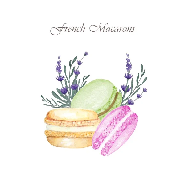 Kézzel rajzolt akvarell francia Macaron sütemények összetétele levendula virágok, francia tészta desszert. Elszigetelt fehér háttér macaroon keksz, édes és gyönyörű desszert. — Stock Fotó