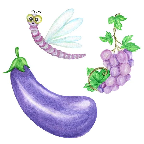 Acquerello collezione dipinta di verdure viola e insetti libellula. Elementi di design vegan freschi disegnati a mano isolati su sfondo bianco . — Foto Stock