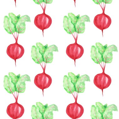 Dikişsiz desen Suluboya kırmızı sebze, pancar koleksiyonu boyalı. Karikatür tarzı El beyaz arka plan üzerinde taze vegan gıda çizilmiş. Kumaş sonbahar dokusu