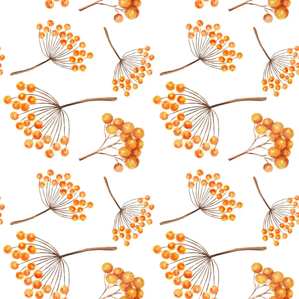 Seamless pattern Autumn berries seasonal, nature berry, autumnal botanical rowan isolated on a white background. Watercolor autumn element hand drawn illustration.