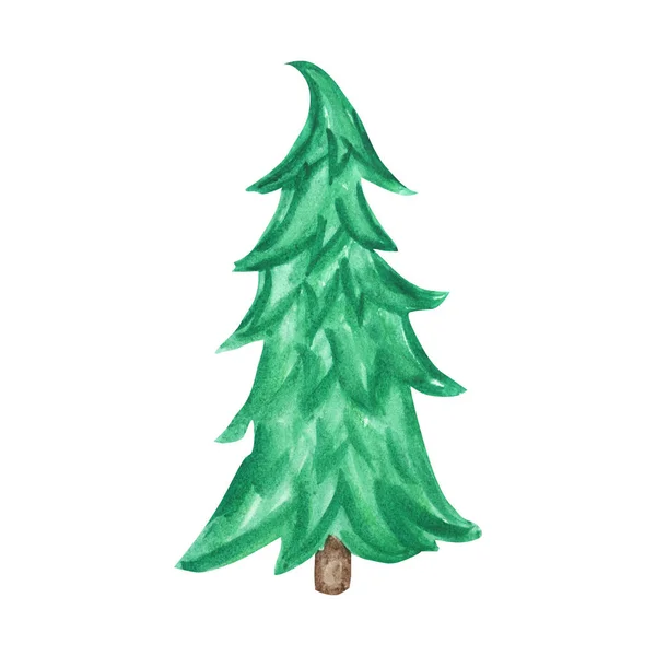New Year Christmas tree isolated on white background. Hand drawn vintage card design. Winter nature illustration — Stock Photo, Image