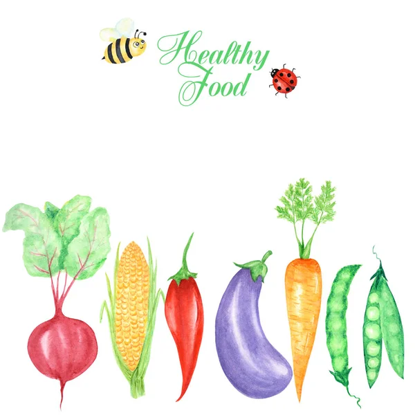 Υδατογραφικά ζωγραφισμένο πλαίσιο λαχανικών και εντόμων, πασχαλίτσα και μέλισσα. Χειροποίητα φρέσκα φαγητά για χορτοφάγους σε λευκό φόντο. Ευχετήρια κάρτα, αφίσα, σχέδιο banner με χώρο αντιγραφής για κείμενο. — Φωτογραφία Αρχείου