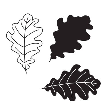 Sonbahar meşe yaprakları güzel siyah ve beyaz seti. Çizgi sanatı yaprak contur çizim. Elle çizilmiş vektör illüstrasyonu.