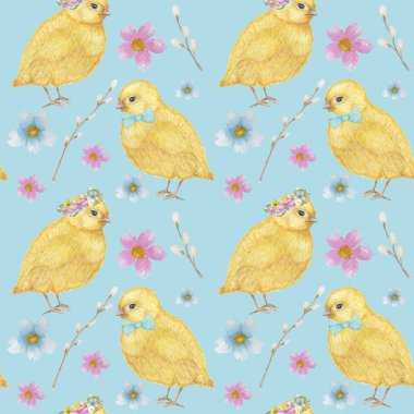 Dikişsiz Paskalya desen Suluboya el sarı chiken, Bahar çiçekleri, söğüt, yay çizilmiş. Renkli kuş, mavi arka plan üzerinde chikens bebek. Davetiye, poster, kart, kumaş, doku için tasarım.