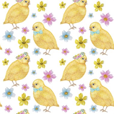 Dikişsiz Paskalya desen Suluboya el sarı chiken, Bahar çiçekleri, söğüt, yay çizilmiş. Renkli kuş, beyaz arka plan üzerinde chikens bebek. Davetiye, poster, kart, kumaş, doku için tasarım.