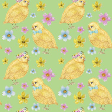 Kusursuz Paskalya desenli suluboya el çizimi sarı chiken, bahar çiçekleri, söğüt, yay. Renkli kuş, yeşil arka planda bebek cıvıldıyor. Davetiye, poster, kart, kumaş, doku tasarımı.