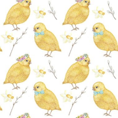 Dikişsiz Paskalya desen Suluboya el sarı chiken, Bahar çiçekleri, söğüt, yay çizilmiş. Renkli kuş, beyaz arka plan üzerinde chikens bebek. Davetiye, poster, kart, kumaş, doku için tasarım.