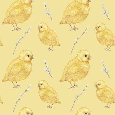 Dikişsiz Paskalya desen Suluboya el sarı chiken, Bahar çiçekleri, söğüt, yay çizilmiş. Renkli kuş, beyaz arka plan üzerinde chikens bebek. Davetiye, poster, kart, kumaş, doku için tasarım.