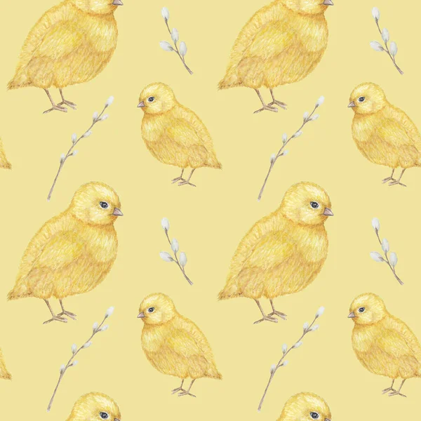 Dikişsiz Paskalya desen Suluboya el sarı chiken, Bahar çiçekleri, söğüt, yay çizilmiş. Renkli kuş, beyaz arka plan üzerinde chikens bebek. Davetiye, poster, kart, kumaş, doku için tasarım.