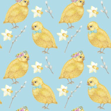 Dikişsiz Paskalya desen Suluboya el sarı chiken, Bahar çiçekleri, söğüt, yay çizilmiş. Renkli kuş, beyaz arka plan üzerinde chikens bebek. Davetiye, poster, kart, kumaş, doku için tasarım.