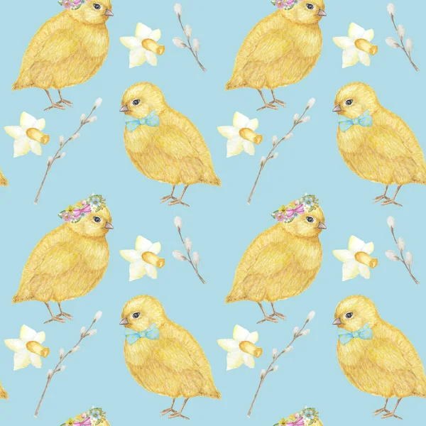 Dikişsiz Paskalya desen Suluboya el sarı chiken, Bahar çiçekleri, söğüt, yay çizilmiş. Renkli kuş, beyaz arka plan üzerinde chikens bebek. Davetiye, poster, kart, kumaş, doku için tasarım.