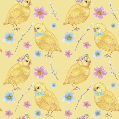 Dikişsiz Paskalya desen Suluboya el sarı chiken, Bahar çiçekleri, söğüt, yay çizilmiş. Renkli kuş, beyaz arka plan üzerinde chikens bebek. Davetiye, poster, kart, kumaş, doku için tasarım.