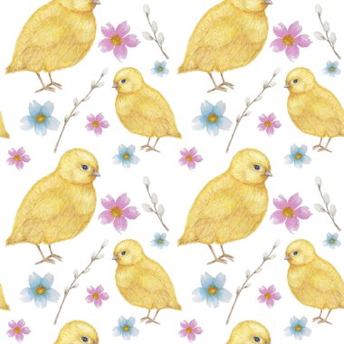Dikişsiz Paskalya desen Suluboya el sarı chiken, Bahar çiçekleri, söğüt, yay çizilmiş. Renkli kuş, beyaz arka plan üzerinde chikens bebek. Davetiye, poster, kart, kumaş, doku için tasarım.