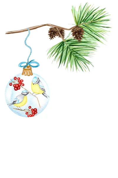 Greeting card, poster concept of pine branches and cones, Christmas Glass Ball with red rowan, winter birds Blue tit on white background, watercolor hand drawn illustration with copy space for text Royalty Free Stock Images