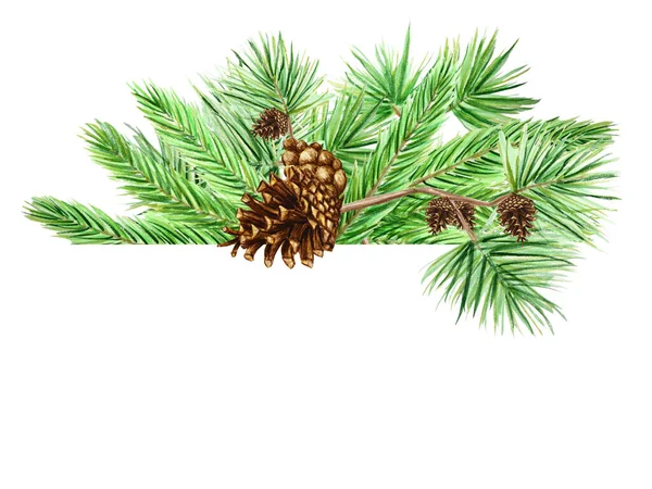 Cartão de Natal, cartaz, conceito de banner de ramos de pinho e cones no fundo branco, ilustração desenhada à mão aquarela de Ano Novo com espaço de cópia para texto — Fotografia de Stock