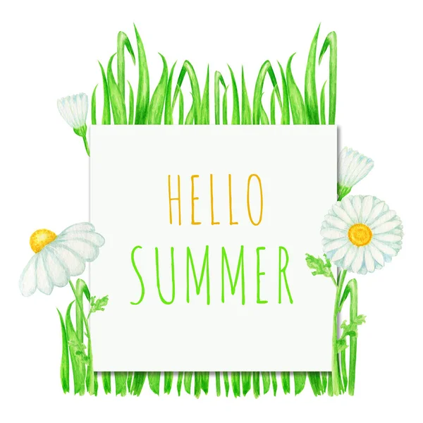 Привіт SUMMER Акварель рожева ромашка квіткова рамка ілюстрація. Рука намальована ботанічними травами на білому тлі. Ромашкові білі квіти, бутони, зелене листя, стебла, трав'яний банер — стокове фото