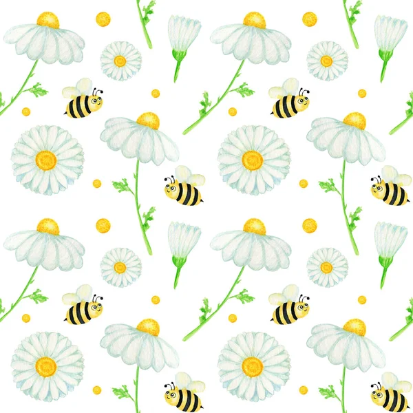 Watercolor daisy chamomile flower seamless pattern with fly bee illustration. Hand drawn botanical herbs on white background. White flowers, buds, stems, grass. Wild botanical garden bloom — Stock fotografie